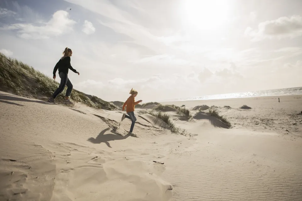 G�tur i det gr�nne natur t�t p� Landal S�h�jlandet &ndash; perfekt med hund