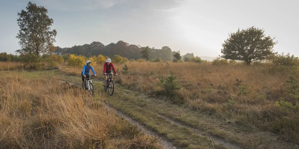 Landal Miggelenberg - klik for at se mere 